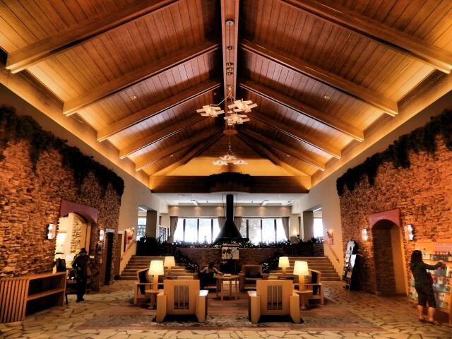 {̌̌łIK̓uC_tFAƂ́H