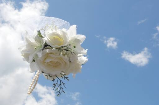 uC_tFAł̃TvCYIۂ̉oŃC[W킭I