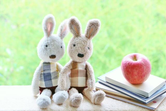 ΗJȂIuC_tFAɍsOɏ邱