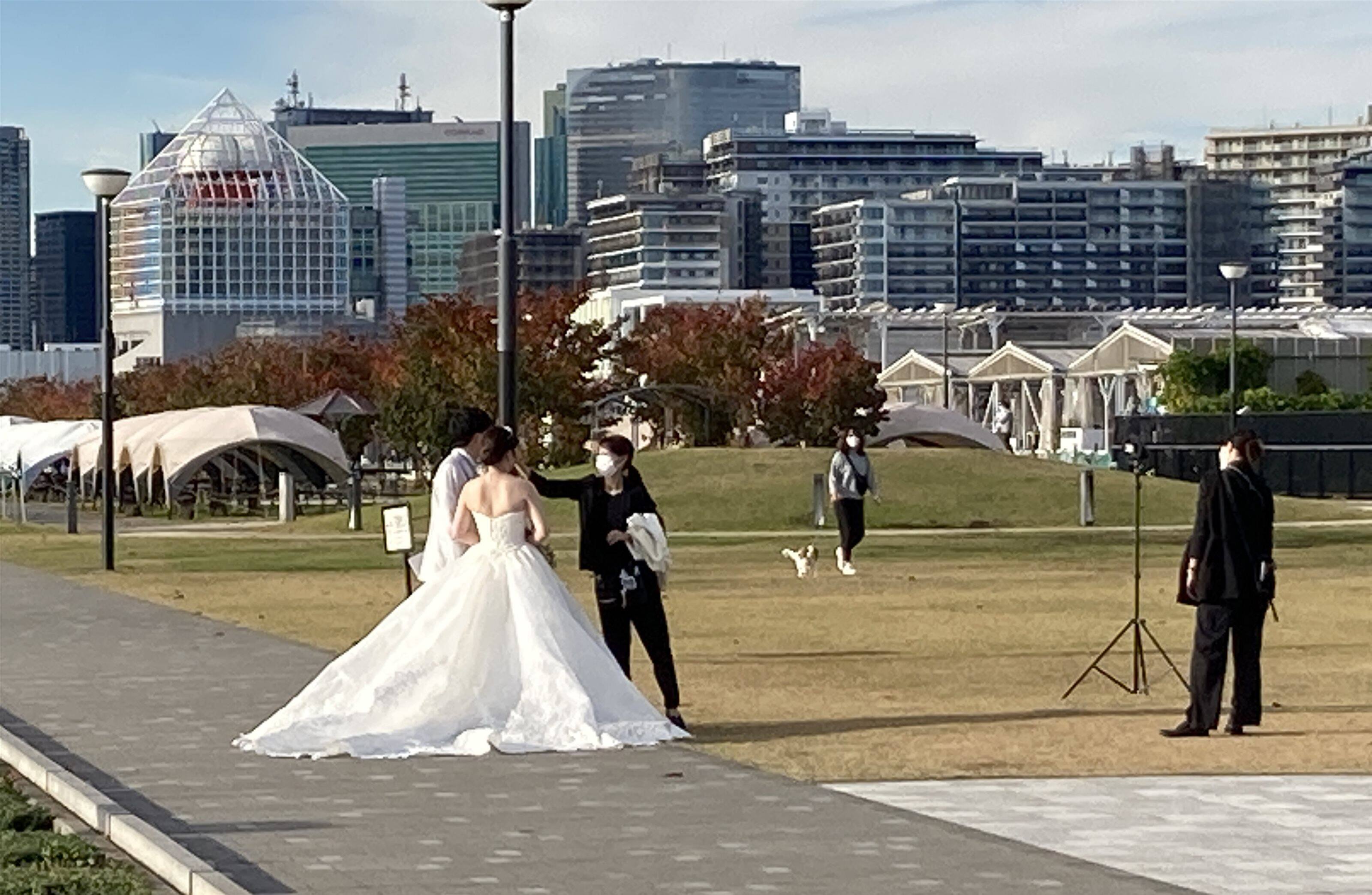 ǗlcR̋CɂȂuC_tFAƂ́I